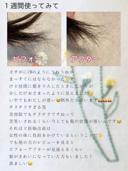 ストレートシャンプー/ストレートトリートメント ホワイトブロッサムの香り/Straine/市販シャンプーを使ったクチコミ(5枚目)