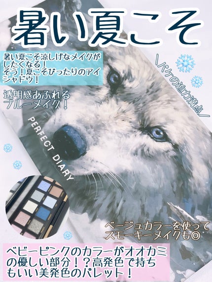 エクスプローラ12色 動物アイシャドウパレット/PERFECT DIARY/アイシャドウパレットを使ったクチコミ(3枚目)