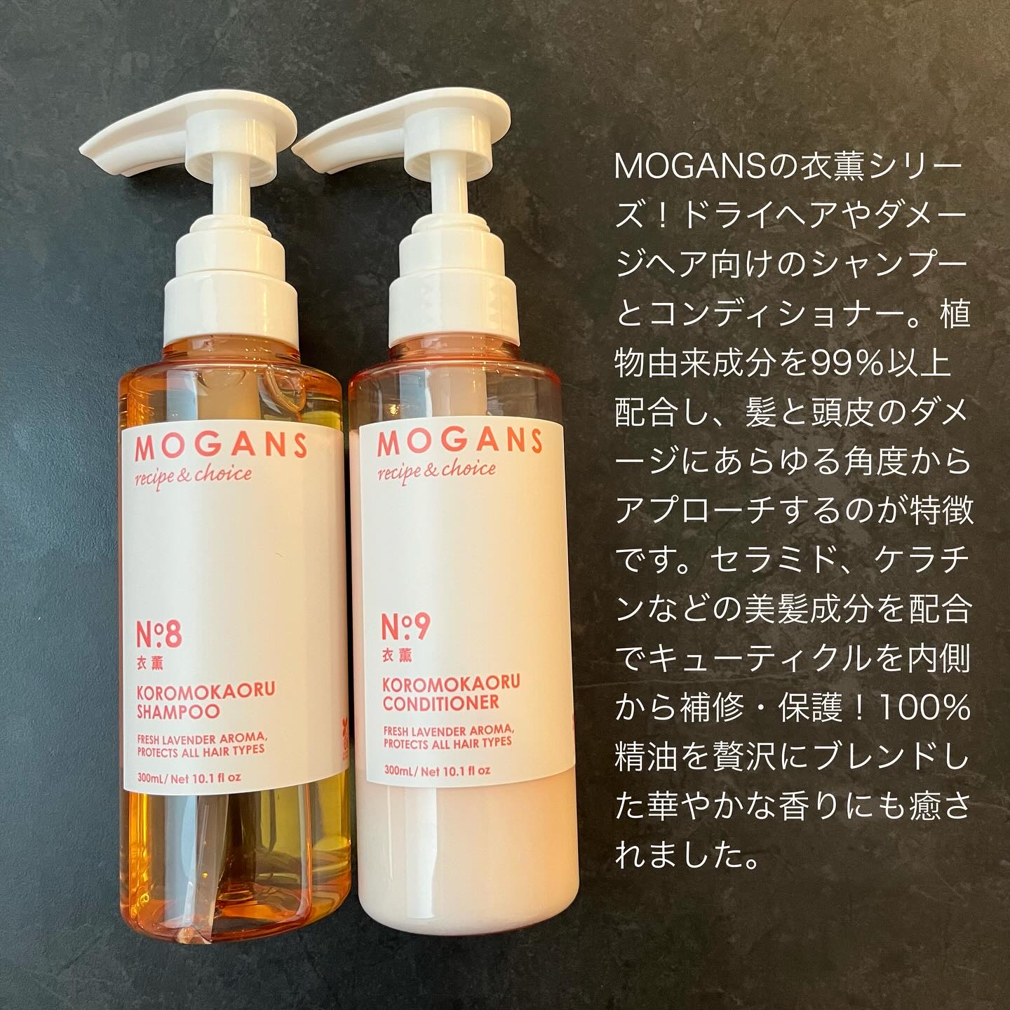 ノンシリコン アミノ酸 シャンプー/コンディショナー 衣薫（ころもかおる）/MOGANS/市販シャンプーを使ったクチコミ（2枚目）