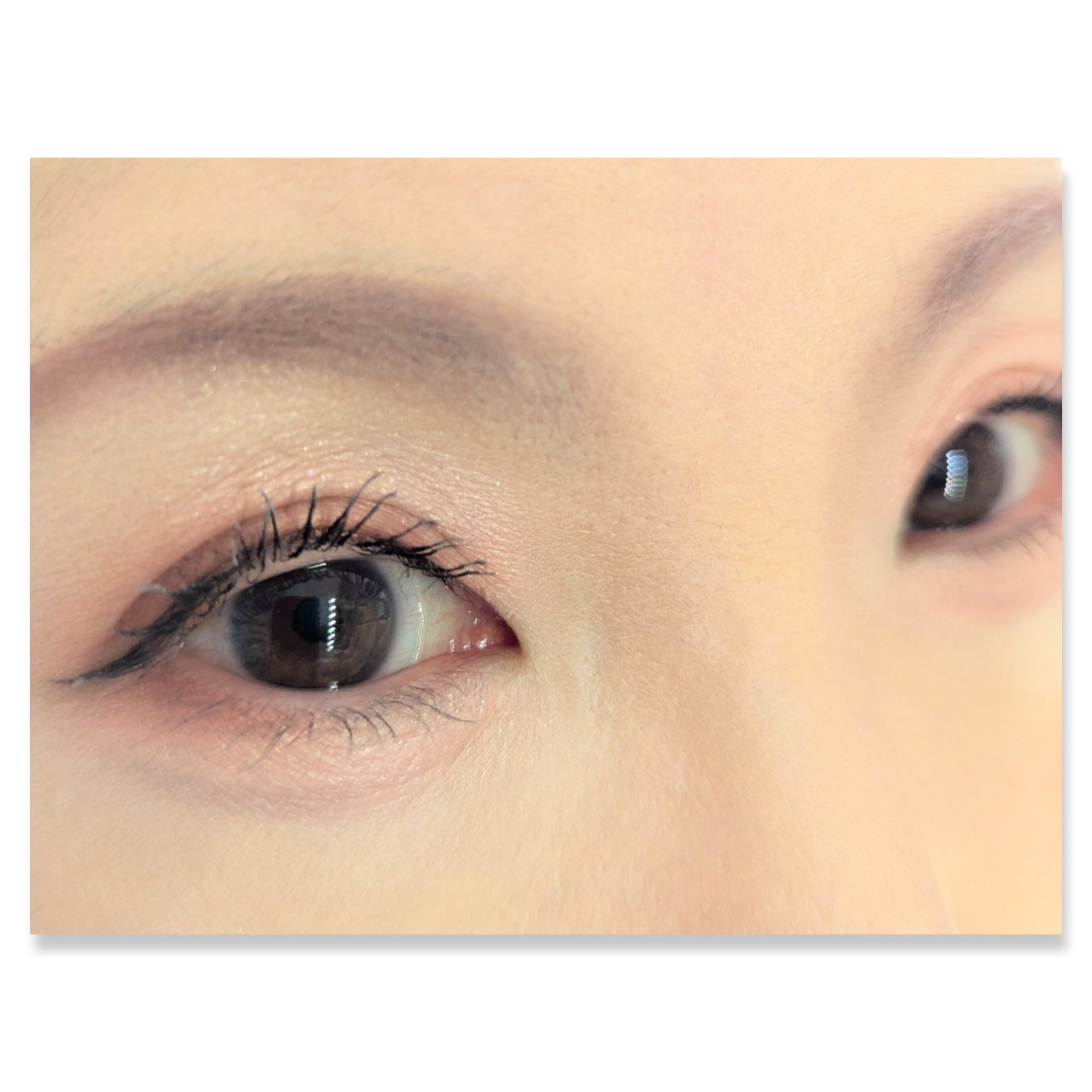 ニュアンス デューイ クリエイター/Visée/アイシャドウパレットを使ったクチコミ（2枚目）