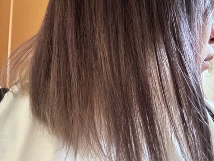 ã䜿ã£ãã¯ãã³ãïŒ2æç®ïŒ