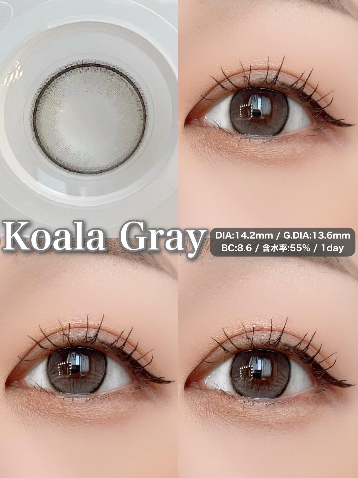 perse 1day コアラグレー/perse/ワンデー（１DAY）カラコンを使ったクチコミ（2枚目）