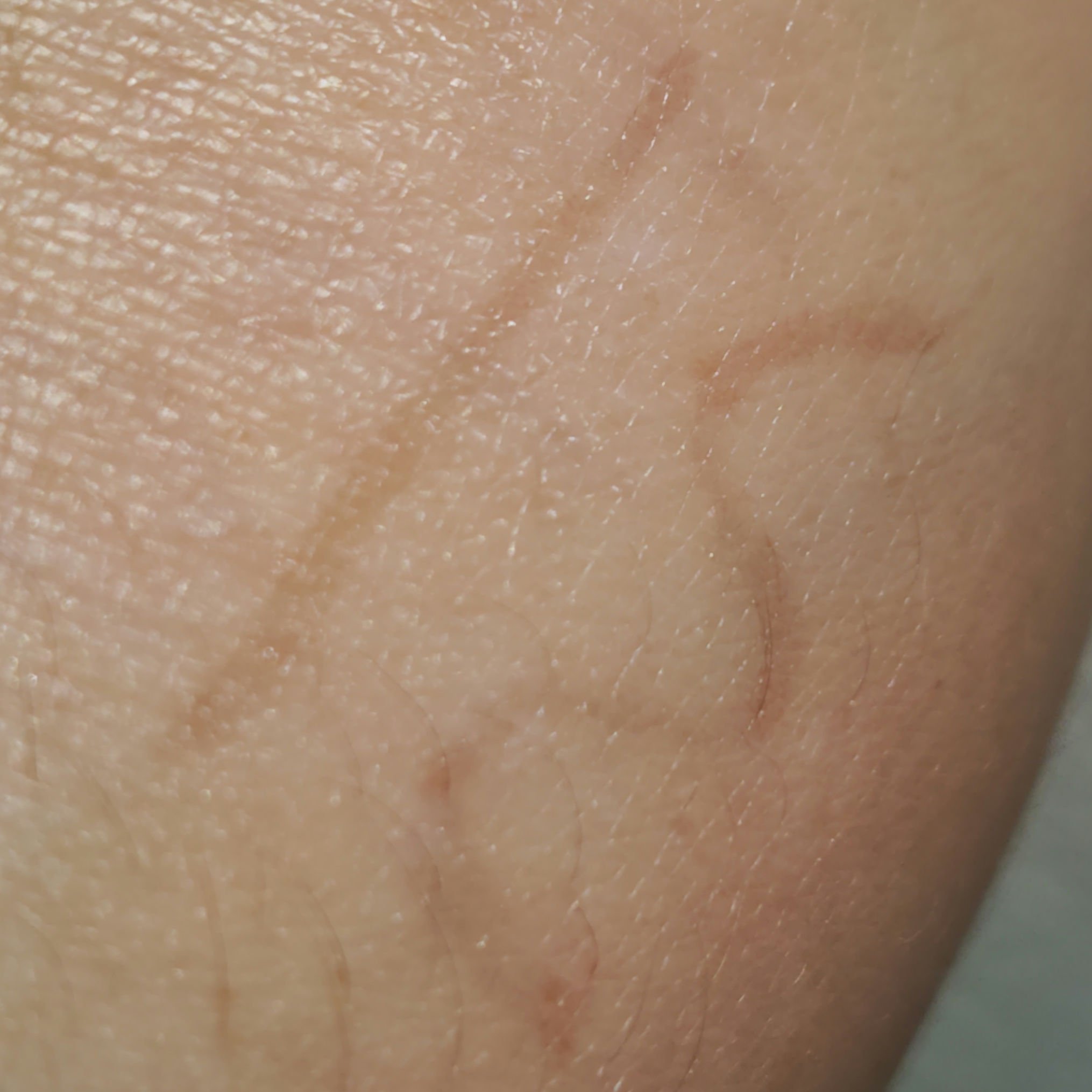 MS トランスルーセントアイライナー/キャンドゥ/リキッドアイライナーを使ったクチコミ（3枚目）