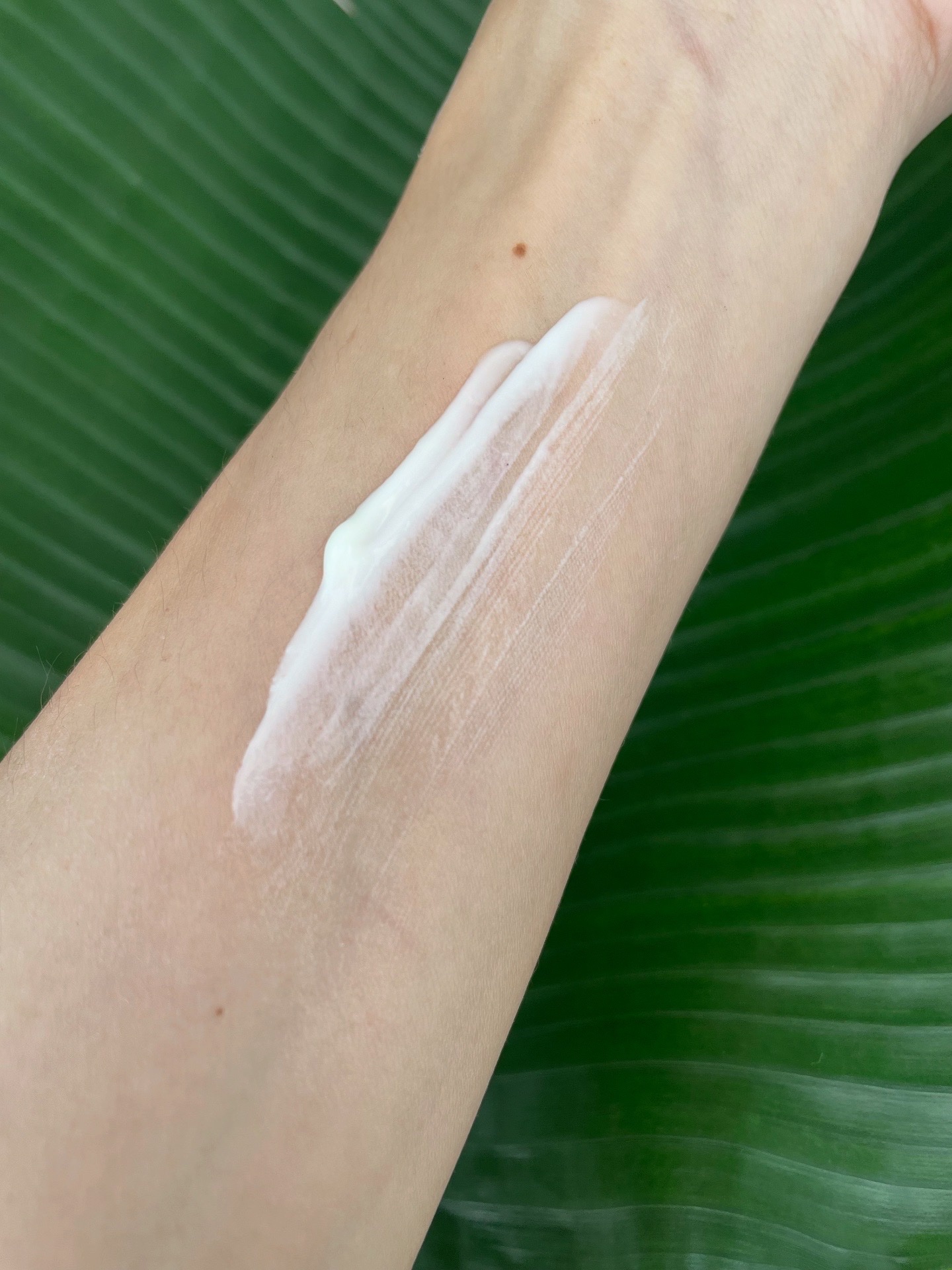 スキンバリアモイスチャーサンクリーム/Ongredients/日焼け止めクリームを使ったクチコミ（2枚目）