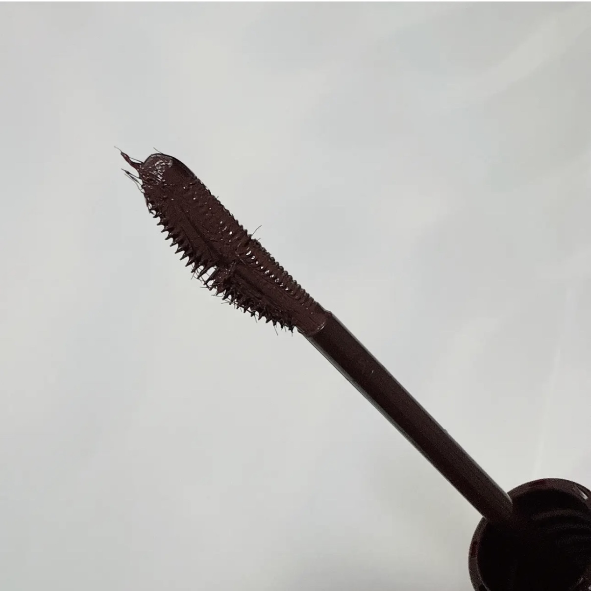 ラッシュエキスパンダー 孔雀ロング BR666 アンバーブラウン 「女帝」/MAJOLICA MAJORCA/マスカラを使ったクチコミ（3枚目）