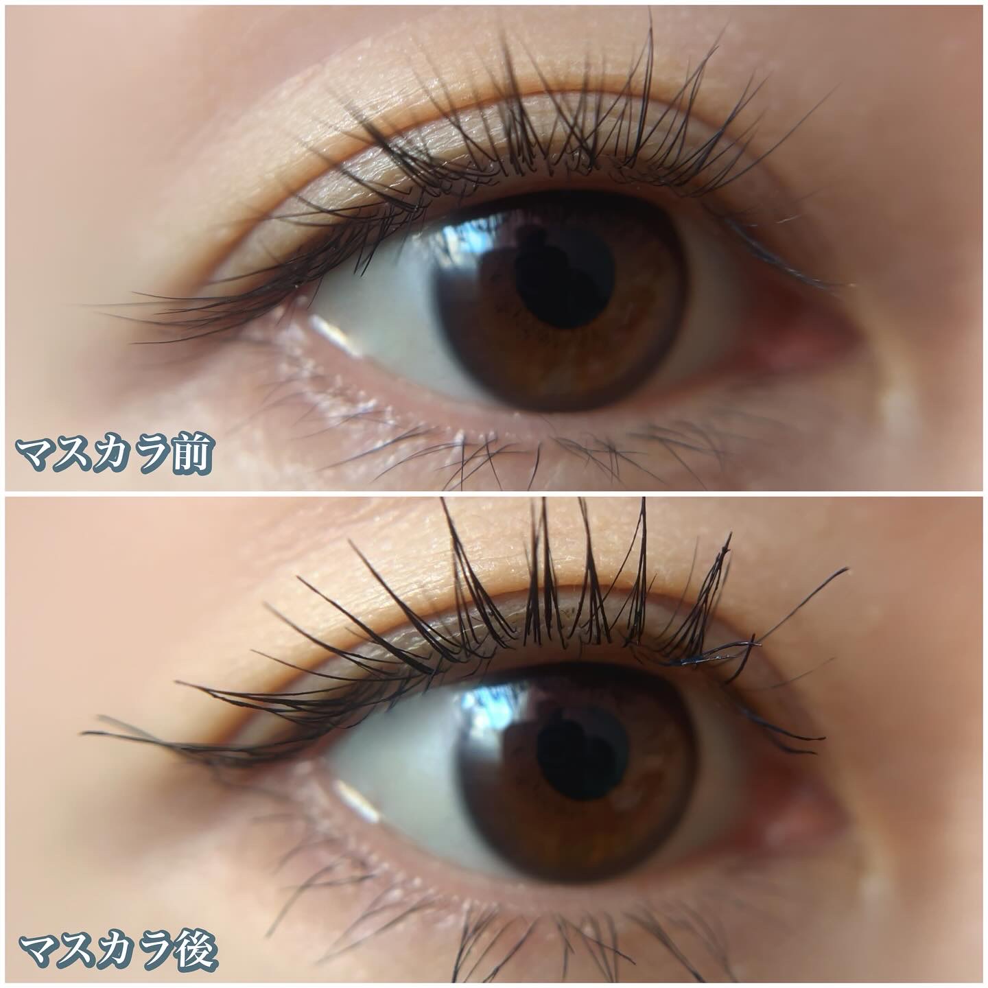 オペラ マイラッシュ アドバンスト/OPERA/マスカラを使ったクチコミ（3枚目）