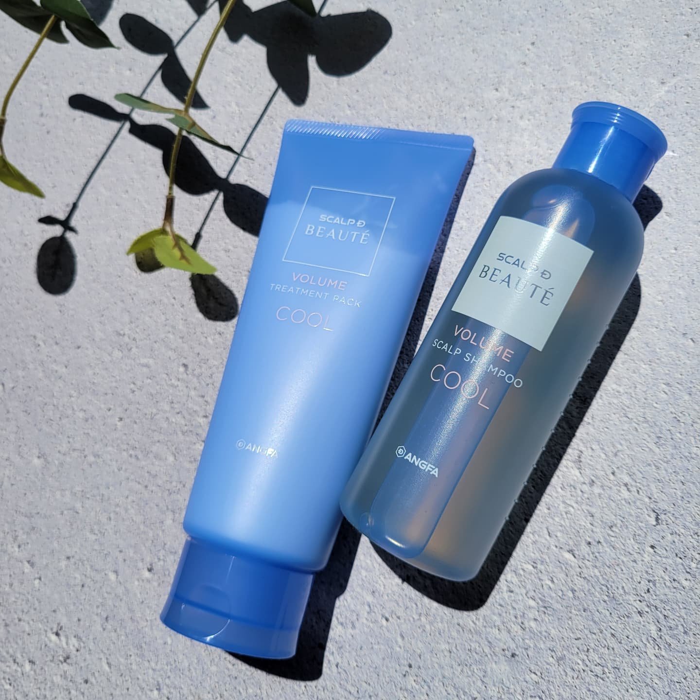 スカルプD ボーテ　スカルプシャンプー／トリートメントパック ボリューム クール/アンファー(スカルプD)/市販シャンプーを使ったクチコミ（1枚目）