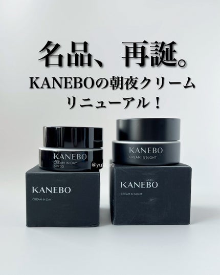 カネボウ クリーム イン デイⅡ【医薬部外品】/KANEBO/フェイスクリームを使ったクチコミ(1枚目)