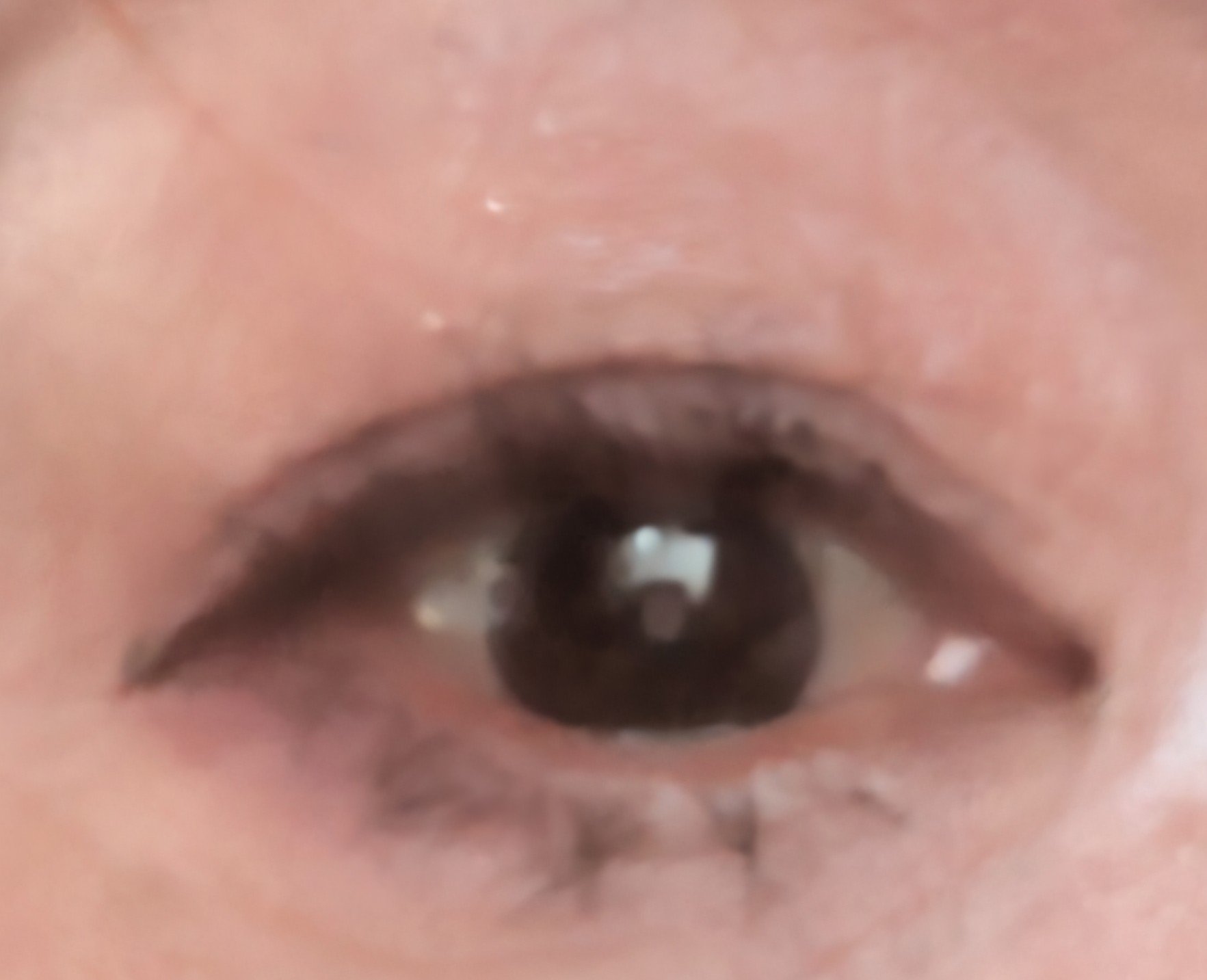 クリーミータッチライナー/キャンメイク/ジェルアイライナーを使ったクチコミ（2枚目）