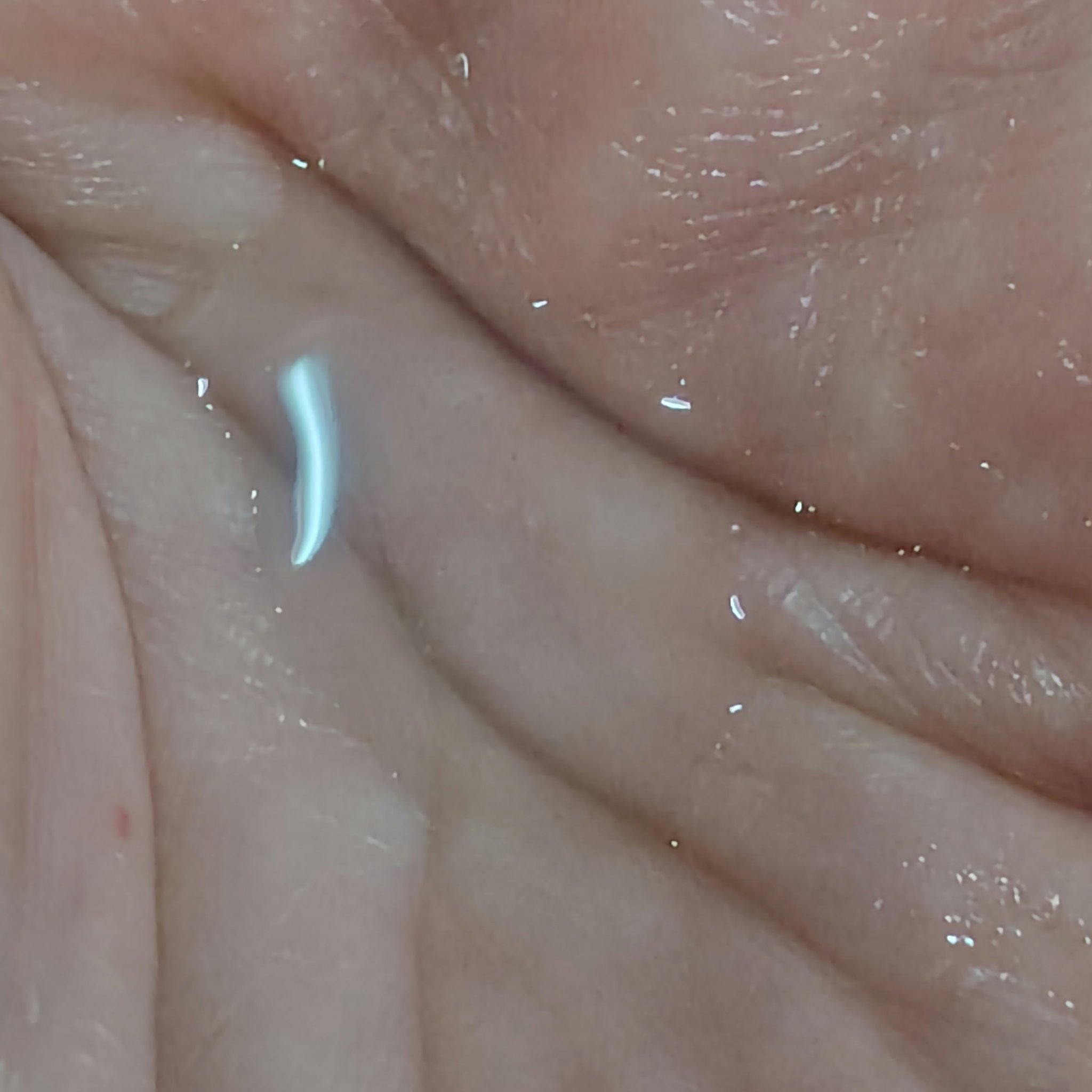 フラルネ ハイドロボム プラス/ALBION/化粧水を使ったクチコミ（3枚目）