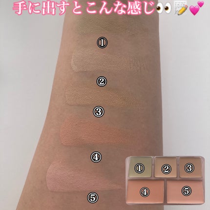 コンシールブレンダーパレット/LUNA/パレットコンシーラーを使ったクチコミ(3枚目)