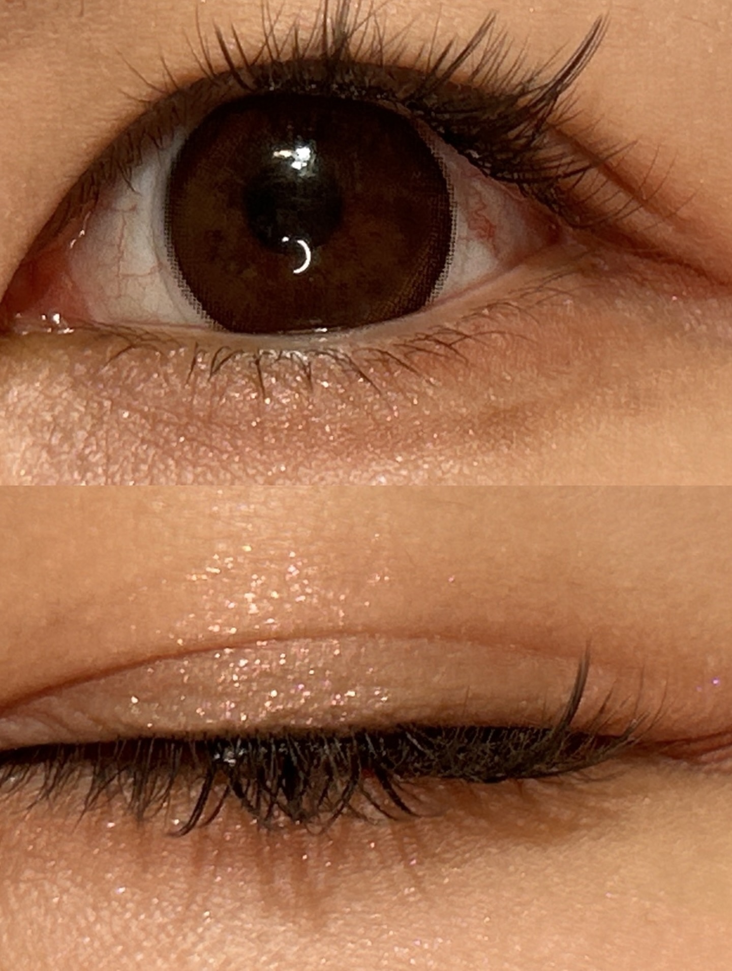 シャドウパレット/dasique/アイシャドウパレットを使ったクチコミ（3枚目）