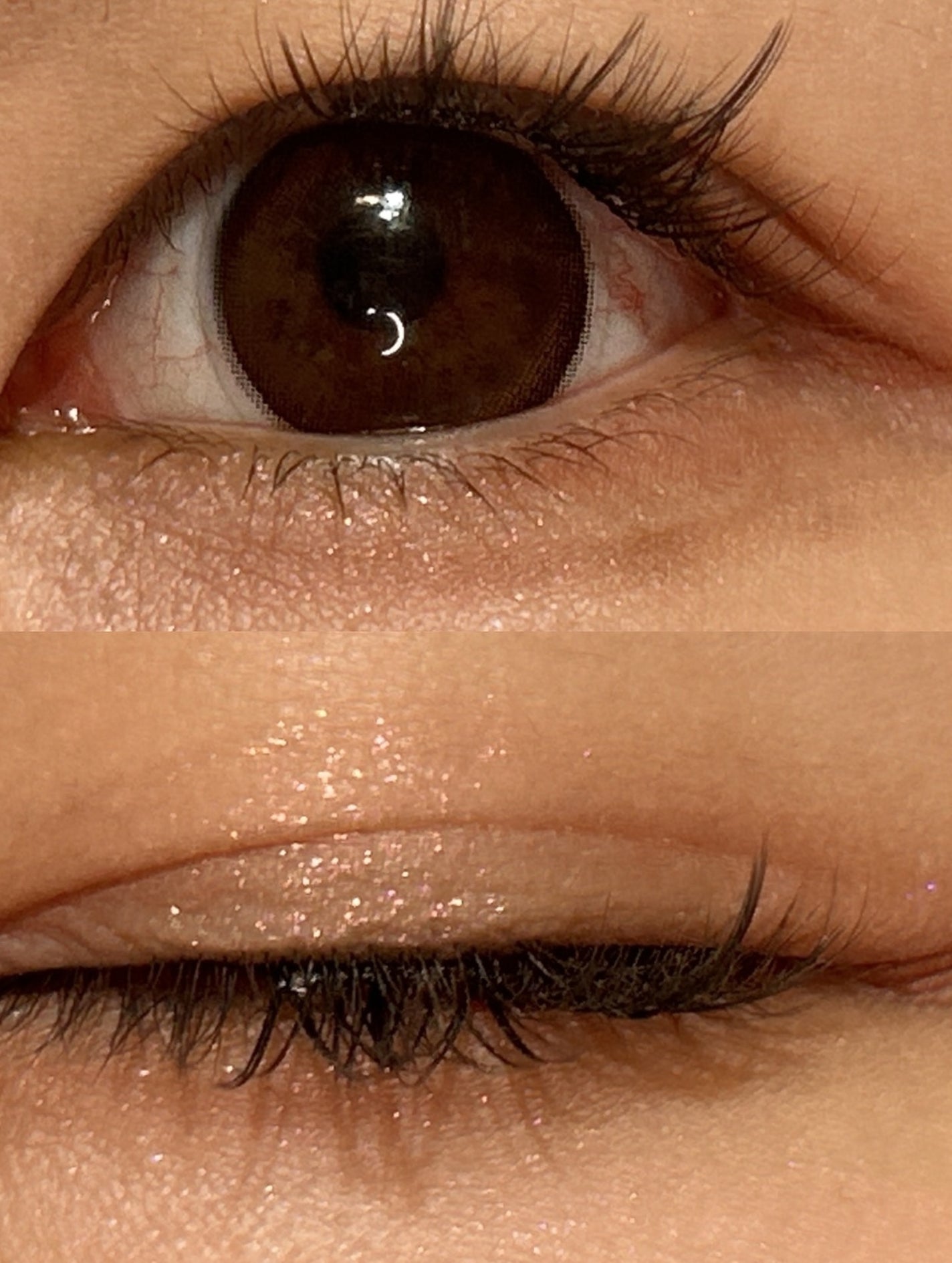 シャドウパレット/dasique/アイシャドウパレットを使ったクチコミ(3枚目)