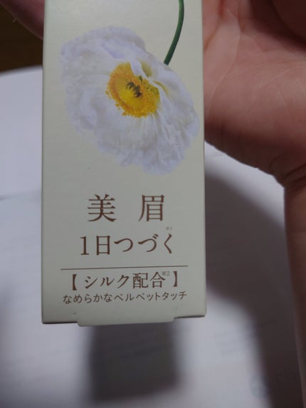 ベルベットアイブロウ/LUMIURGLAS/リキッドアイブロウを使ったクチコミ(5枚目)