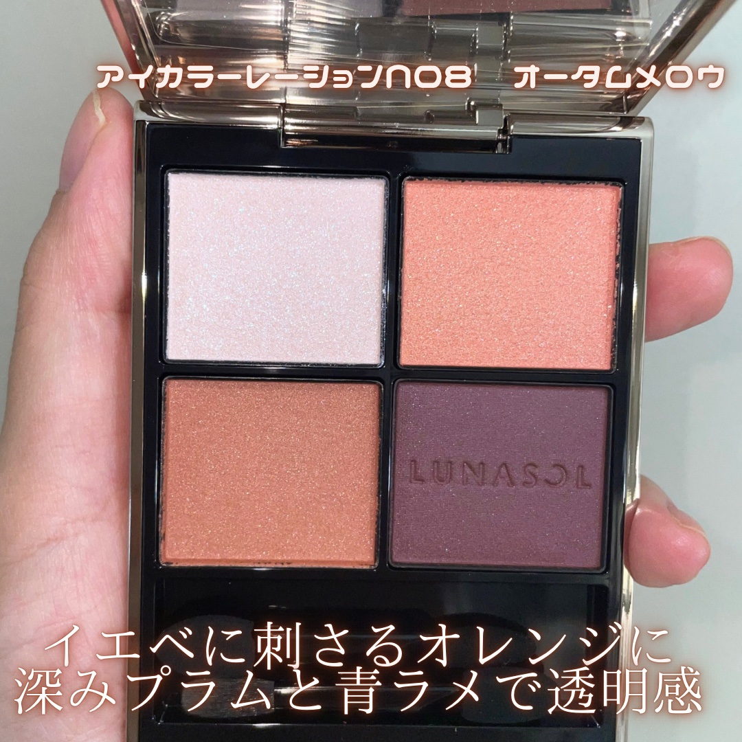 ルナソル アイカラーレーションN/LUNASOL/アイシャドウパレットを使ったクチコミ（2枚目）