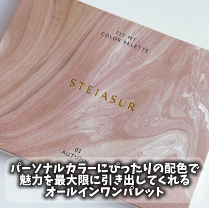 フィット my カラーパレット/STEIASUR(ステイアシュール)/マルチパレットを使ったクチコミ(2枚目)