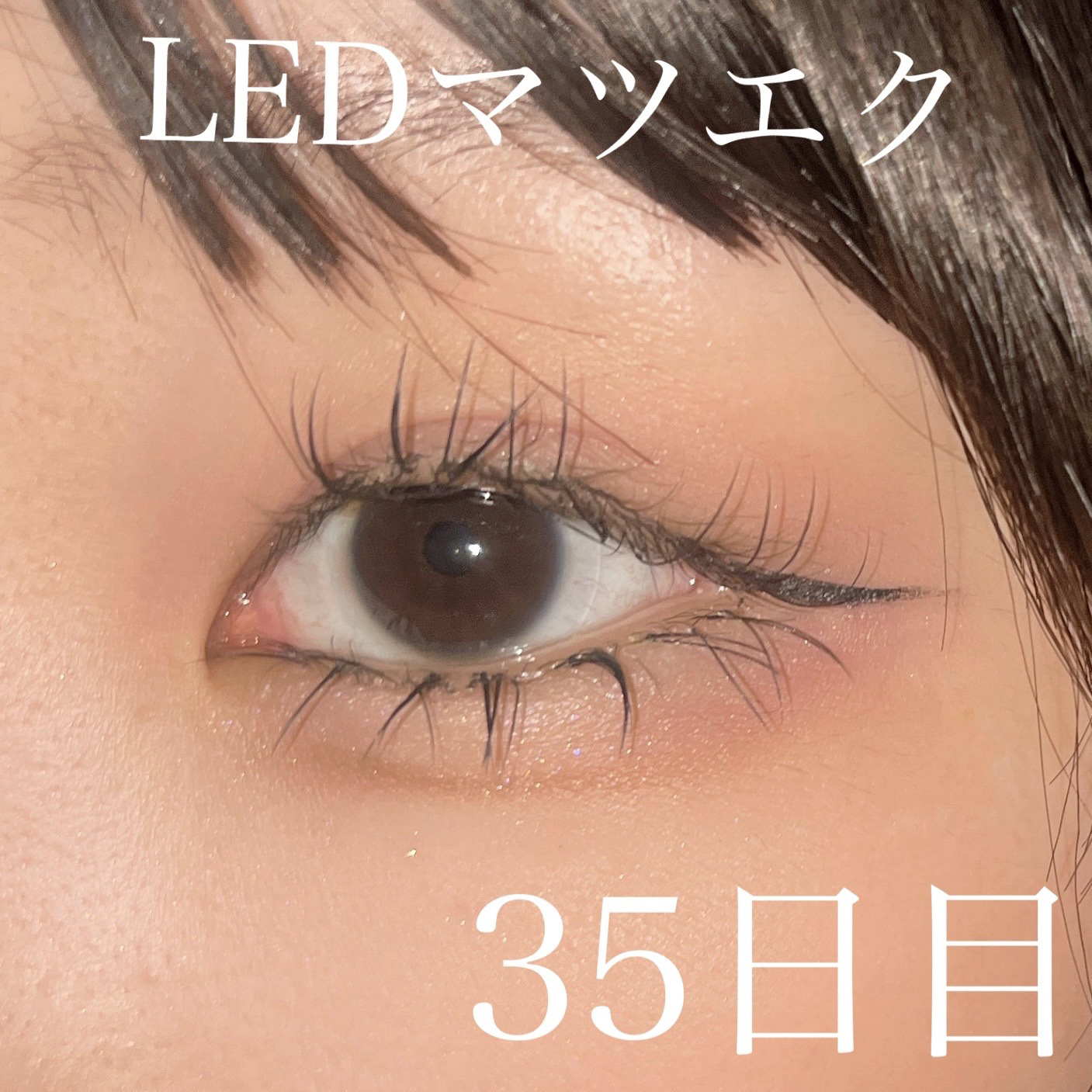 ケイト ポッピングシルエットシャドウ/KATE/アイシャドウパレットを使ったクチコミ（1枚目）