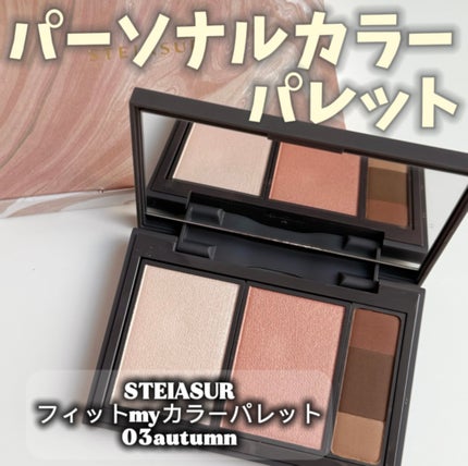 フィット my カラーパレット/STEIASUR(ステイアシュール)/マルチパレットを使ったクチコミ(1枚目)