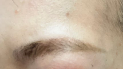 眉ティントSVR 101 グレーブラウン(WEB限定)/Fujiko/眉ティントの画像