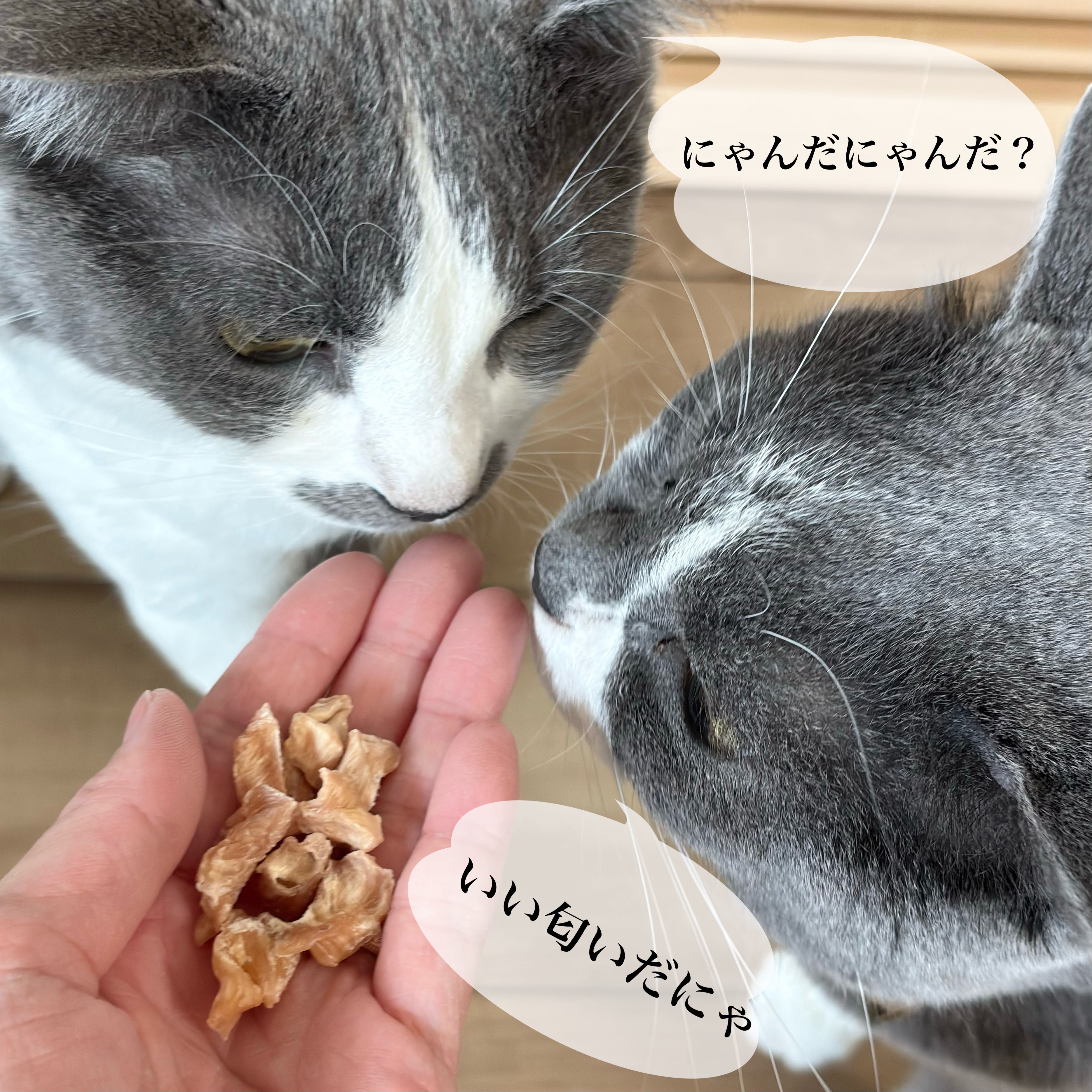 サクサク THE・JERKY　ささみ/SHIROINEKO/その他食品を使ったクチコミ（3枚目）