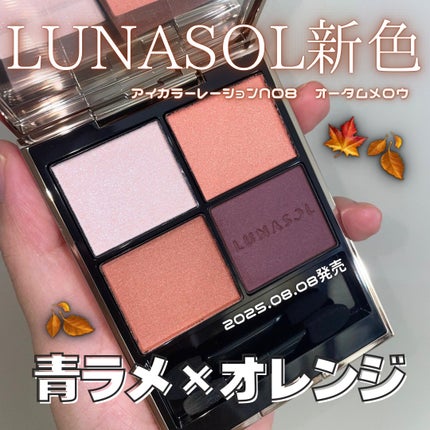 ルナソル アイカラーレーションN/LUNASOL/アイシャドウパレットを使ったクチコミ(1枚目)
