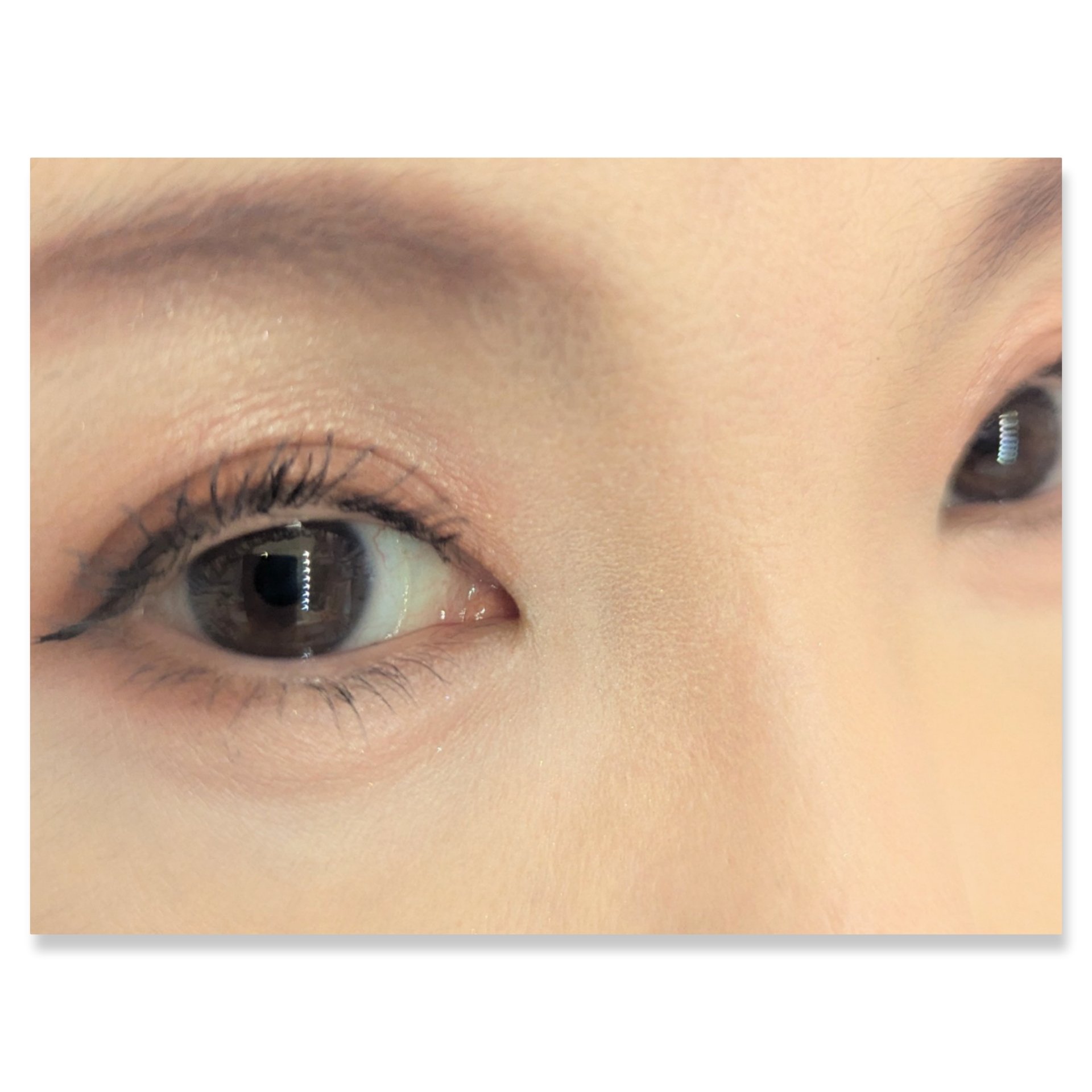 ザジー ジグソーアイシャドウパレット/SHEGLAM/アイシャドウパレットを使ったクチコミ（2枚目）