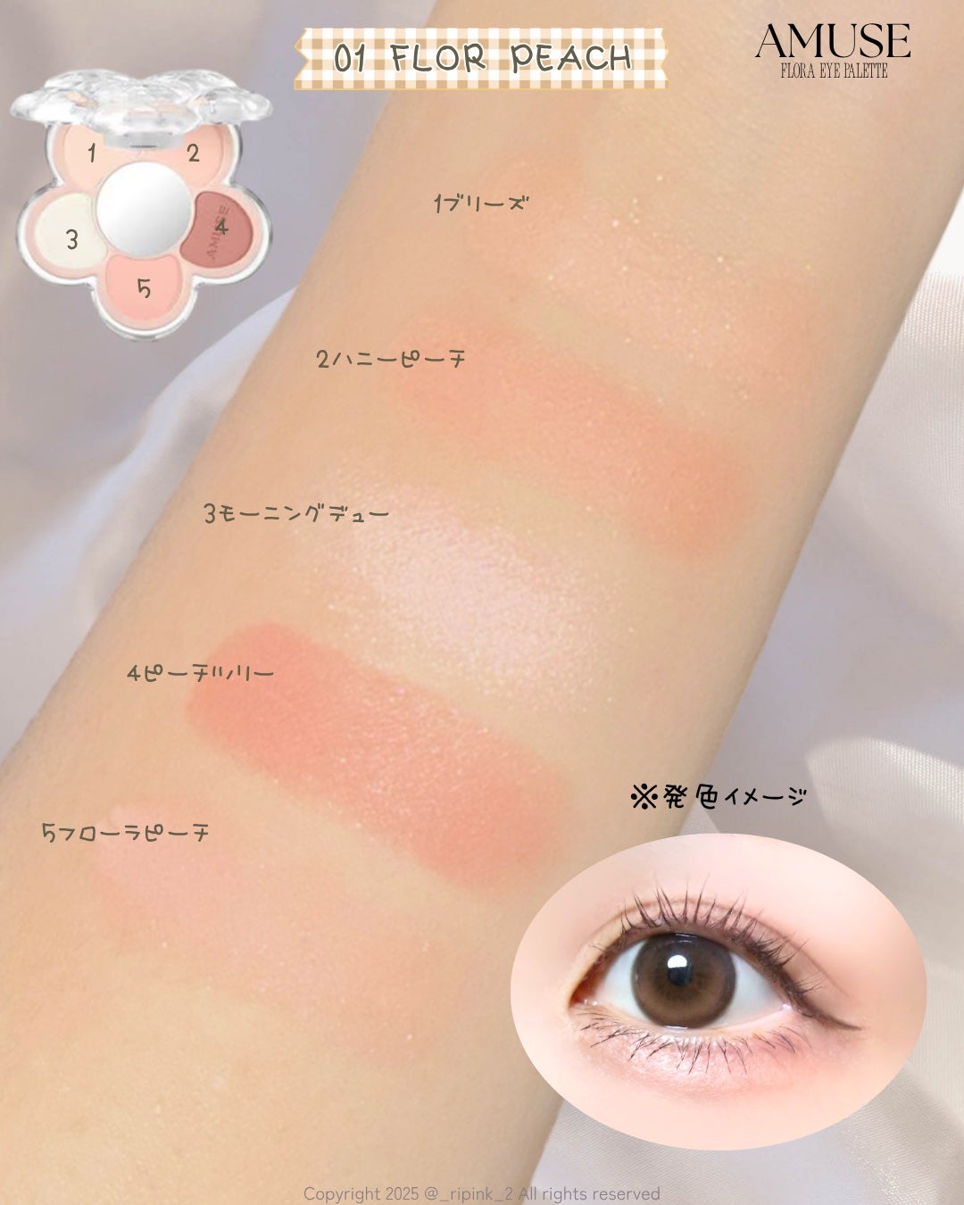 フローラアイパレット/AMUSE/アイシャドウを使ったクチコミ(5枚目)