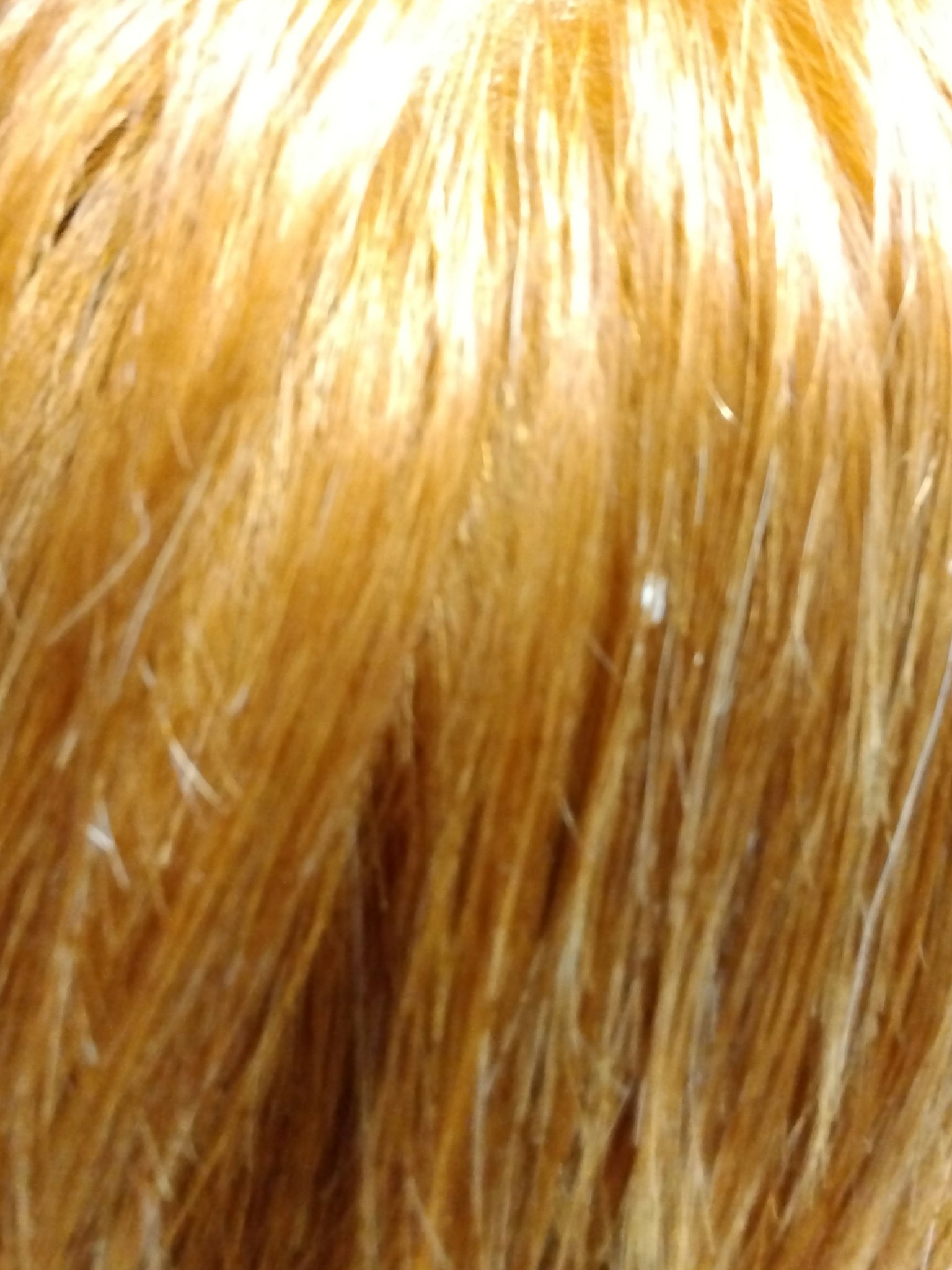 ボンディング・ブリーチ 2箱入り/got2b/ブリーチ剤を使ったクチコミ（3枚目）