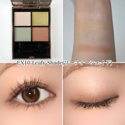 ルナソル アイカラーレーションN/LUNASOL/アイシャドウパレットを使ったクチコミ(6枚目)