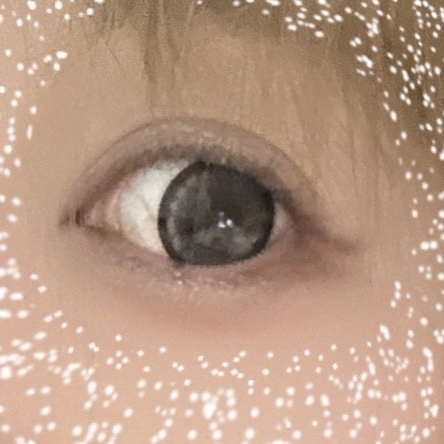 secretcandymagic 1day(シークレットキャンディーマジック） NO.9 ブラウン/secret candymagic/ワンデー（１DAY）カラコンを使ったクチコミ（2枚目）