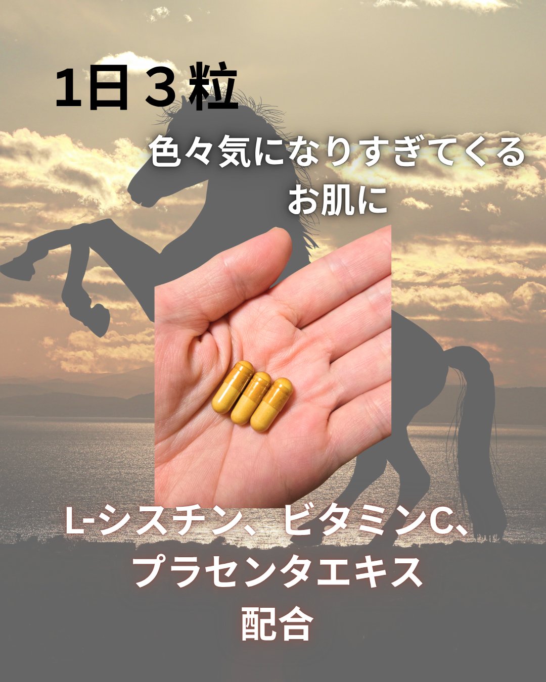 プラセンタホワイト/プランドゥシー・メディカル/美容サプリメントを使ったクチコミ（2枚目）