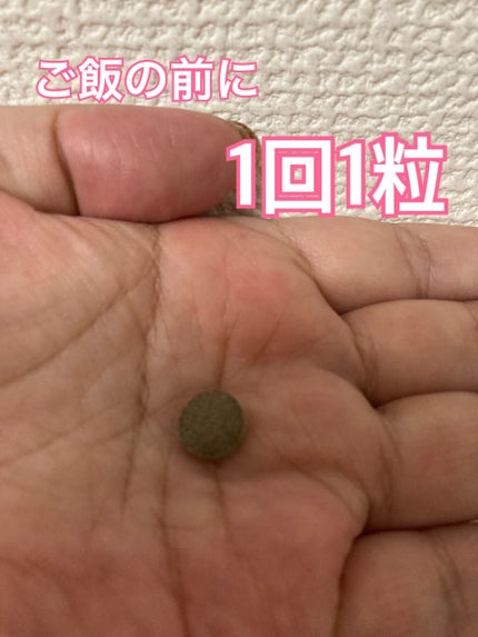 ザ・カーボハイドレートプレミアムダイエット/マザーリーフ/ボディサプリメントを使ったクチコミ(3枚目)