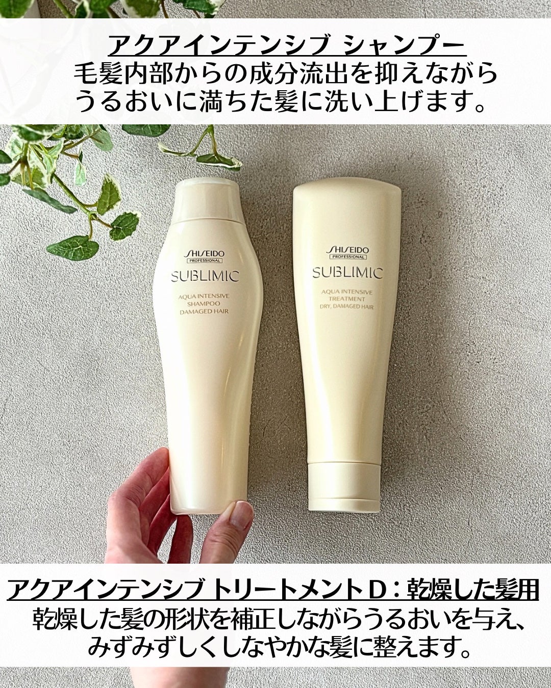 アクアインテンシブ シャンプー/トリートメント/サブリミック/サロンシャンプーを使ったクチコミ(3枚目)