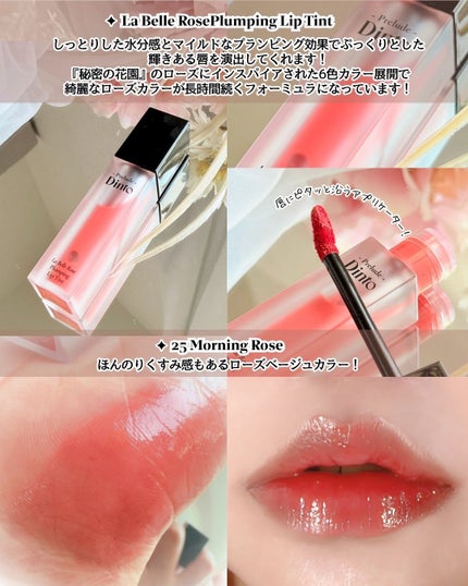 La Belle Rose Plumping Lip Tint/Dinto/口紅を使ったクチコミ(4枚目)