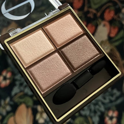 スキニーリッチシャドウ SR13 ヘーゼルブラウン(限定)/excel/アイシャドウパレットの画像