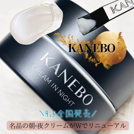 カネボウ クリーム イン ナイトⅡ【医薬部外品】/KANEBO/フェイスクリームを使ったクチコミ(1枚目)