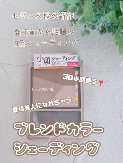 ブレンドカラーシェーディング/CEZANNE/シェーディングを使ったクチコミ(1枚目)