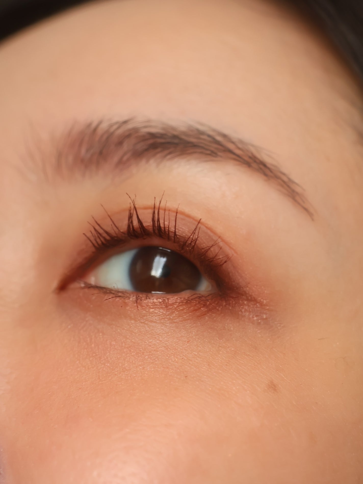 ピュア カラー ブラッシュ/SUQQU/パウダーチークを使ったクチコミ(4枚目)