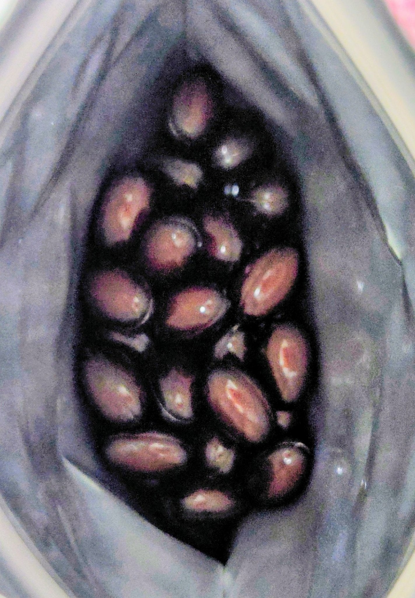 プラセンタ20,000+リポソームビタミンC/マルマン/美容サプリメントを使ったクチコミ(2枚目)