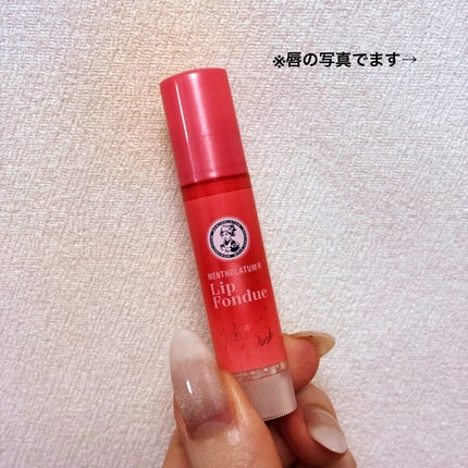 メンソレータム リップフォンデュ/メンソレータム/リップバームを使ったクチコミ(1枚目)