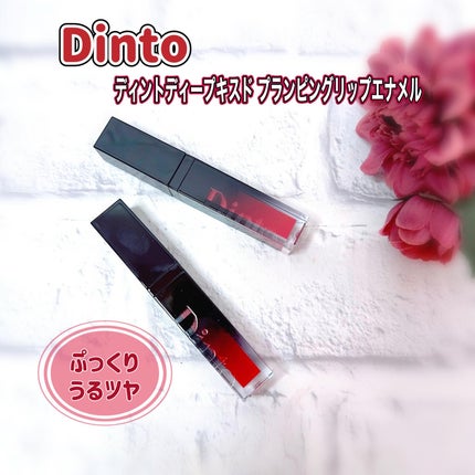 ãã£ãŒããã¹ã ãã©ã³ãã³ã° ãªãããšãã¡ã«/Dinto/ãªããã°ãã¹ã䜿ã£ãã¯ãã³ãïŒ1æç®ïŒ