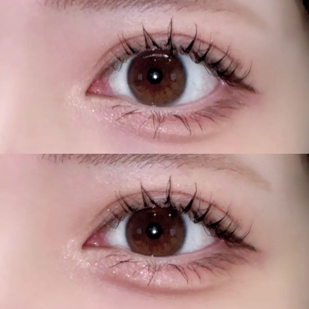 プティパレットアイズ/キャンメイク/パウダーアイシャドウを使ったクチコミ（1枚目）