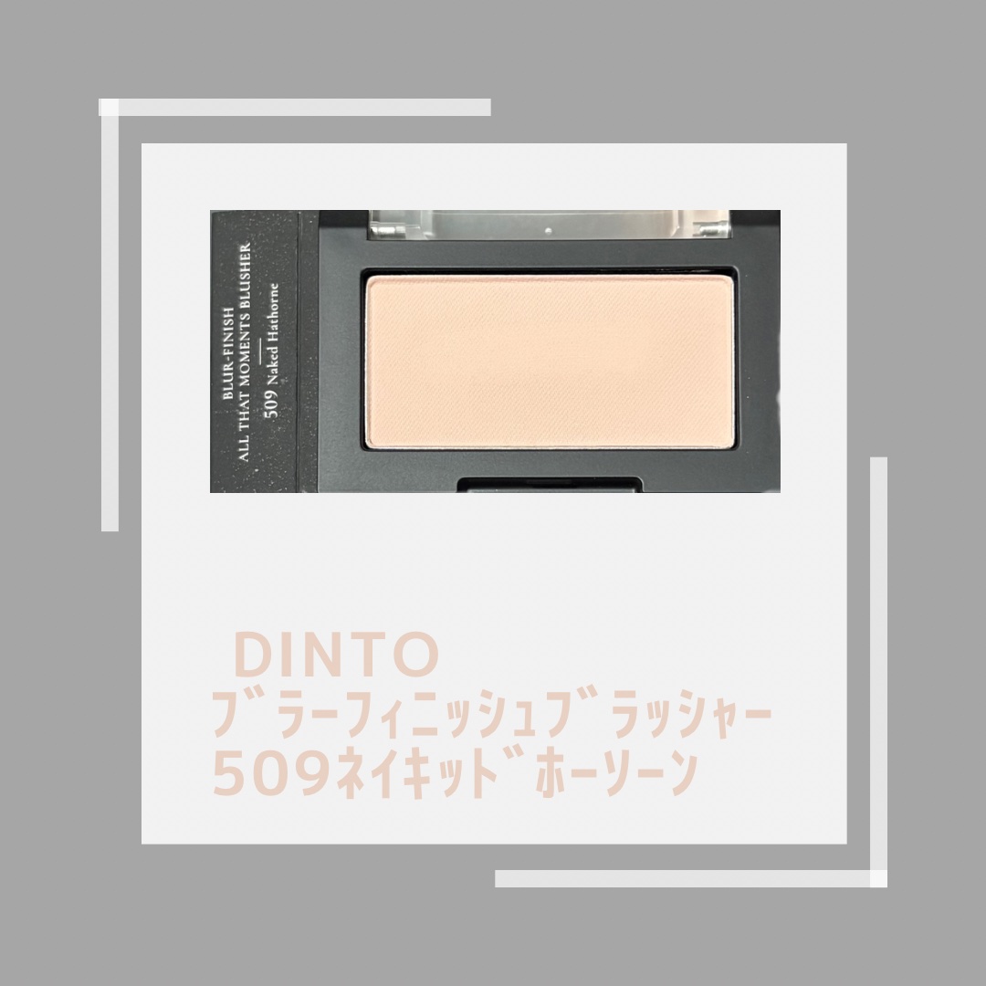 ブラーフィニシュブラッシャー/Dinto/パウダーチークを使ったクチコミ（1枚目）