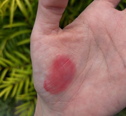 リップモンスター クリアトーン/KATE/口紅を使ったクチコミ(3枚目)