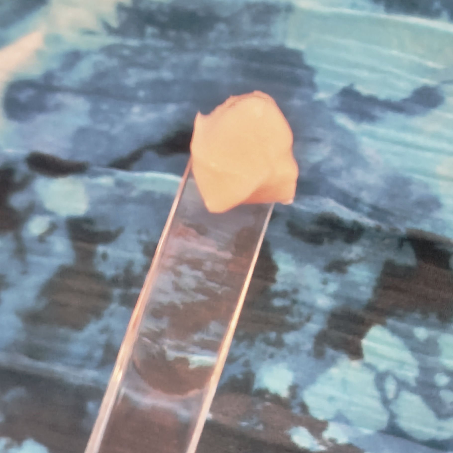 バイオヒールボ プロバイオダーム 3Dリフティングクリーム/BIOHEAL BOH/フェイスクリームを使ったクチコミ（3枚目）