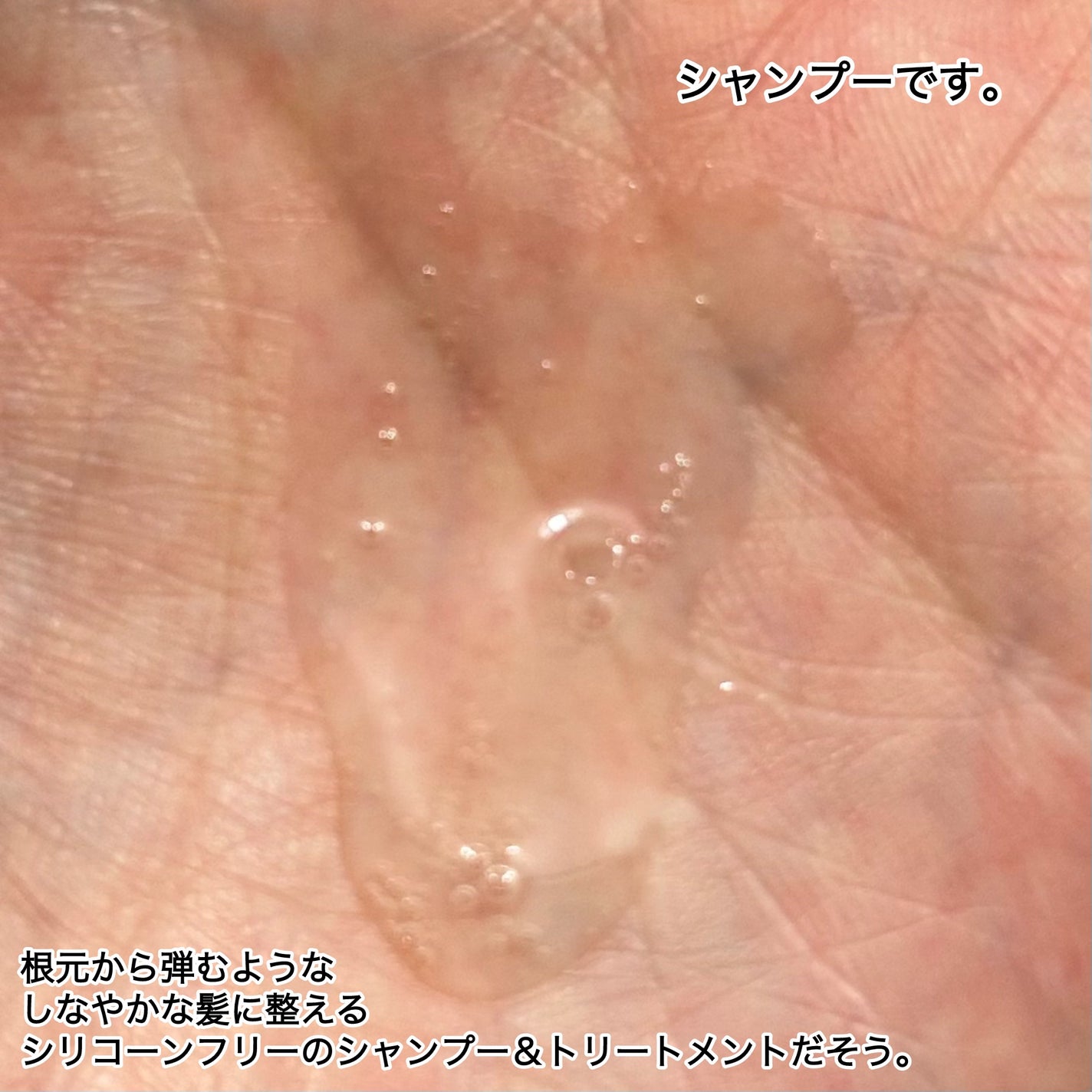 メイプリーゼ バウンス&カラーケア シャンプー/トリートメント/ハウス オブ ローゼ/市販シャンプーを使ったクチコミ(2枚目)