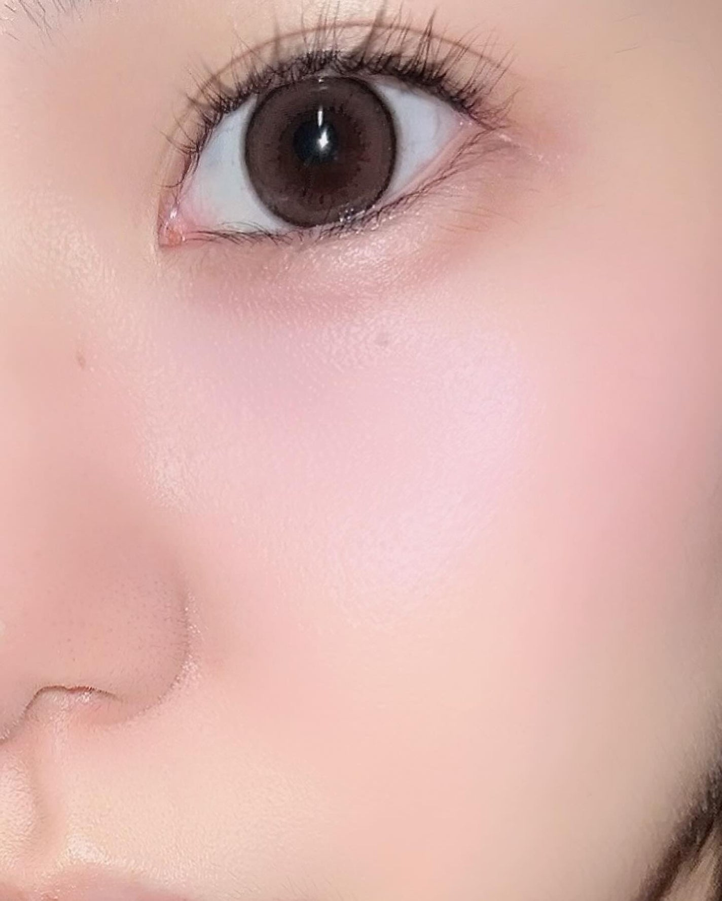 エバーカラーワンデー ナチュラル/エバーカラー/ワンデー(1DAY)カラコンを使ったクチコミ(2枚目)