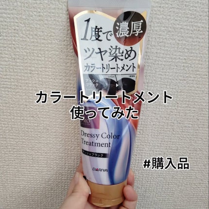 サロン ド プロ ドレッシーカラートリートメント(白髪用)【化粧品】 アッシュブラック/サロン ド プロ/ヘアカラーの画像