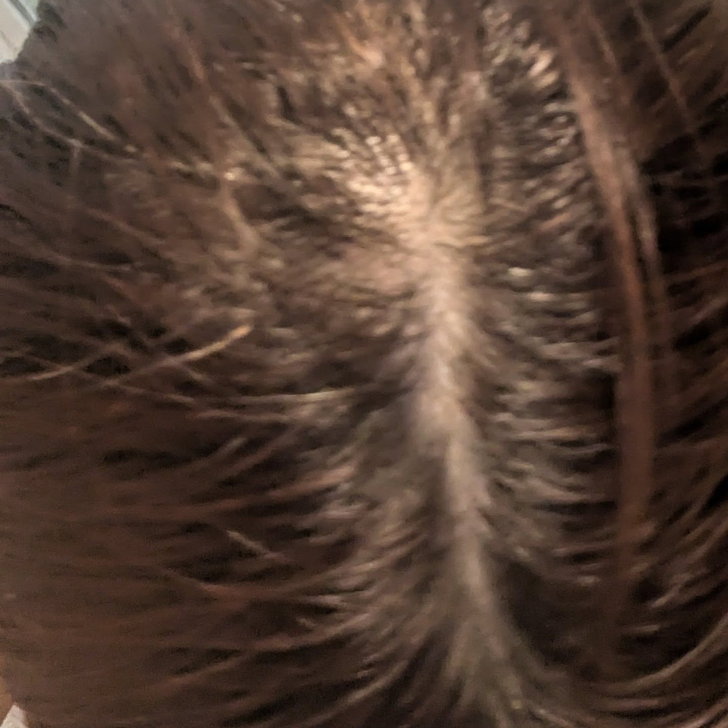 HEALCA カラートリートメント smooth/HEALCA/ヘアカラーを使ったクチコミ(3枚目)