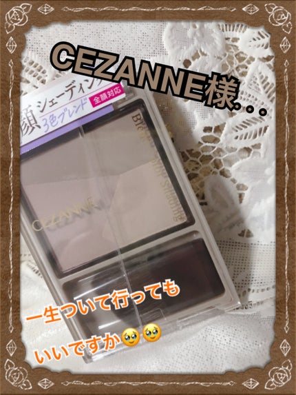 ブレンドカラーシェーディング/CEZANNE/シェーディングを使ったクチコミ(1枚目)